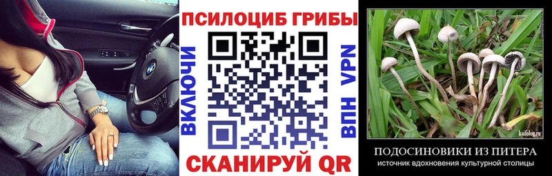 Псилоцибиновые грибы прущие грибы  мега зеркало  Урень 