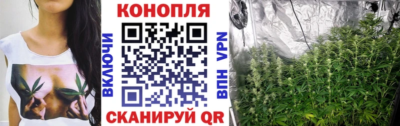 маркетплейс какой сайт  Урень  Конопля VHQ 